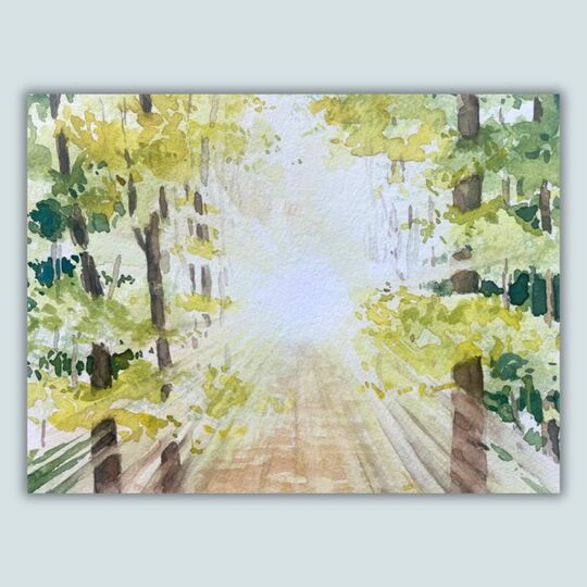 Gegenlicht im Wald