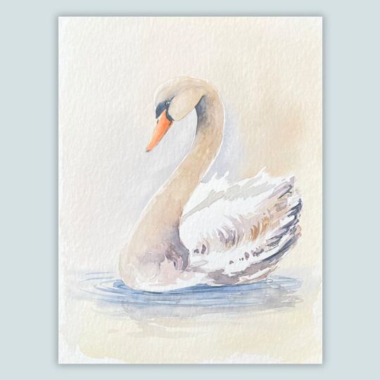 Schwan
