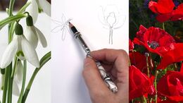 Blumen und Florales - Grundlagen