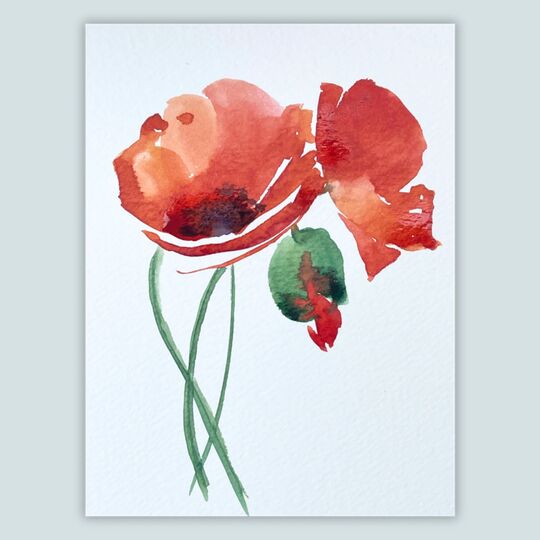 Mohn