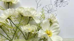 Grundlagen Blumen - Anordnung & Form